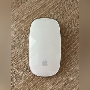 APPLE Magic Mouse with Case